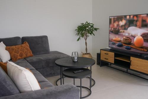 TV a/nebo společenská místnost v ubytování Maasika Villa