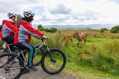 two people riding bikes in a field with animals at Loch Rannoch Highland Club in Kinloch Rannoch