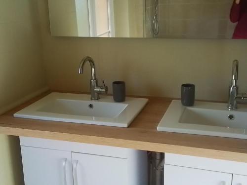 a bathroom counter with two sinks and a mirror at Domaine de gentilly la maison 