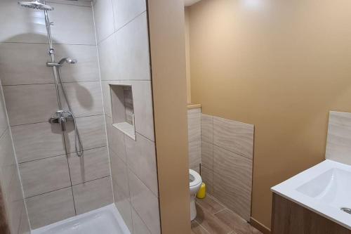 a bathroom with a shower and a toilet and a sink at Charmant studio climatisé avec Sauna in Le Bois de Nèfles