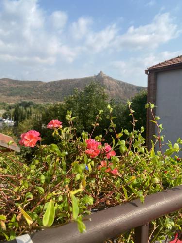 Un mazzo di fiori su una recinzione con una montagna sullo sfondo di Tatin - Hotel & Café in Mtskheta a Mtskheta