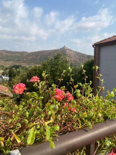 un ramo de flores en una valla con una montaña en el fondo en Tatin - Hotel & Café in Mtskheta en Mtskheta