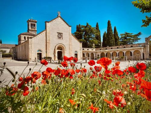 a field of red flowers in front of a church at Dimora Ketty in Noci