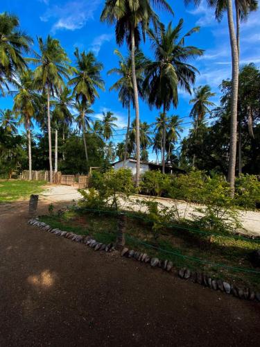 a park with palm trees and a road at Elena Garden Resort and Restaurant in Trincomalee