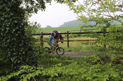 een kind op een fiets naast een hek met een paard bij Tiny House Kotten Kunterbunt in Nottuln