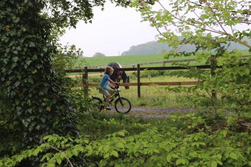 a child riding a bike next to a fence with a horse at Tiny House Kotten Kunterbunt in Nottuln