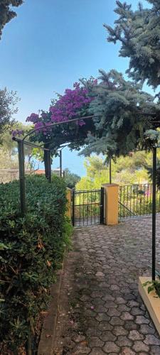 Billede fra billedgalleriet på Casa vacanze da Cristina app B i Maratea