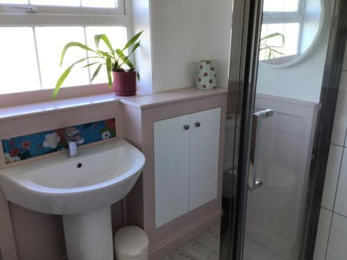 a bathroom with a sink and a toilet and a window at Icthus in Willerby