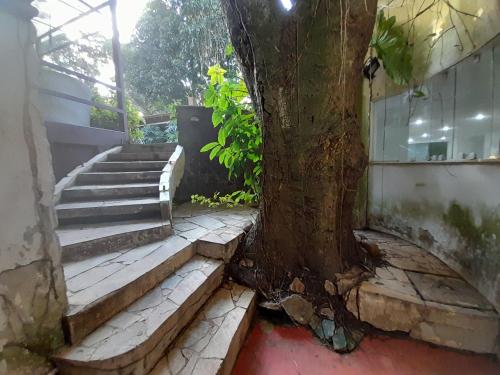 a tree sitting next to a set of stairs at Casa Solar in Rio de Janeiro