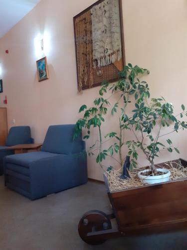a living room with a blue couch and a potted plant at Hotel Les in Razgrad