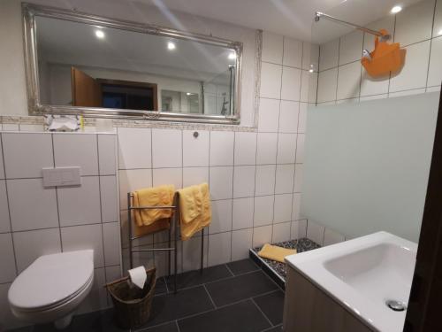 ein Badezimmer mit einem WC, einem Waschbecken und einem Spiegel in der Unterkunft Zur Mühle in Mörlenbach