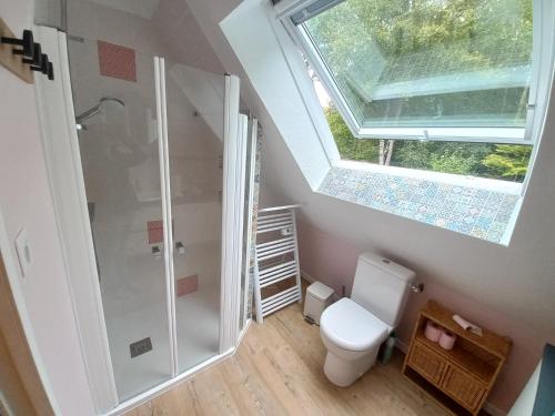 baño con ducha y aseo y ventana en Duplex du Bois d'Amour en Quimper