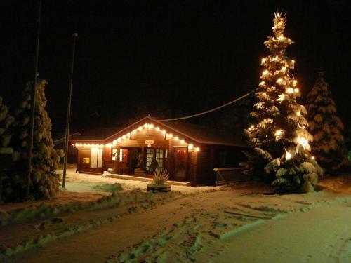 a christmas tree in front of a cabin with lights at Ferienpark Lauterdörfle 9 in Hayingen