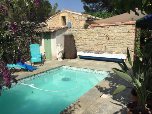 a cat is sitting next to a swimming pool at Charming stone villa with pool & garden in Montaren-et-Saint-Médiers