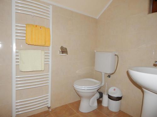 a small bathroom with a toilet and a sink at Casa Silvia in Gârda de Sus