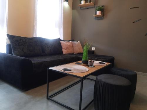 ein Wohnzimmer mit einem Sofa und einem Tisch in der Unterkunft Top Studio Vinica in Warna
