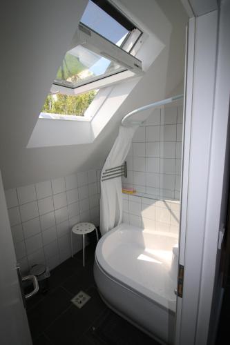a bathroom with a toilet and a skylight at Nefelejcs in Zamárdi