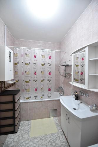 Koupelna v ubytování Apartman Boki
