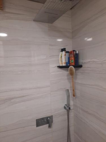 Una ducha con un cabezal de ducha y un estante en la pared. en NinaRich, en Trebinje