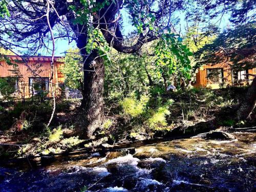 a river in front of a house next to a tree at Kingfisher de los Andes in Villa Meliquina