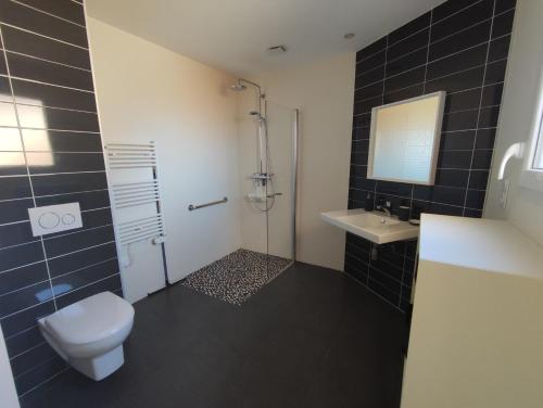 une salle de bain avec toilettes, lavabo et douche dans l'établissement Gite des Cépages, à Voiteur