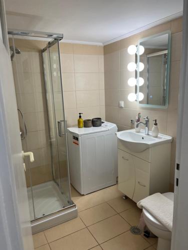La salle de bains est pourvue d'une douche, d'un lavabo et de toilettes. dans l'établissement Alex’s home next to Laiko, à Athènes
