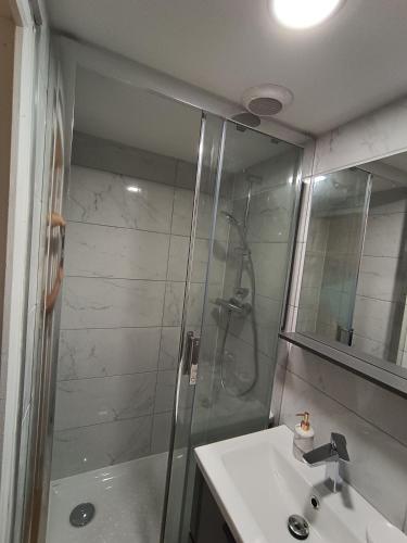 une salle de bain avec douche et lavabo dans l'établissement Fribourg, à Colmar