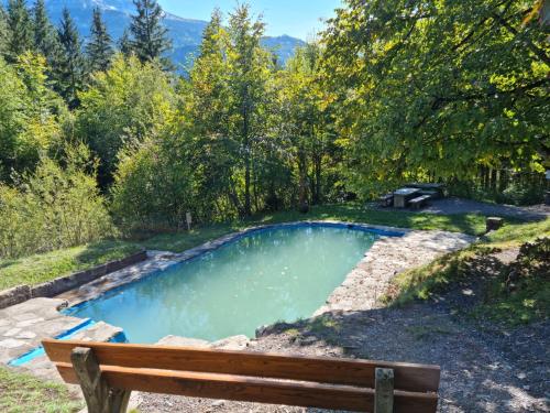 a bench sitting in front of a small pool at Gemütliche Ferienwohnung zwischen See und Bergen in Brienz