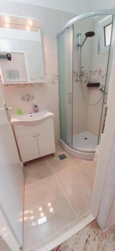 a bathroom with a shower and a sink at Ema & Sea Apartment's in Pula