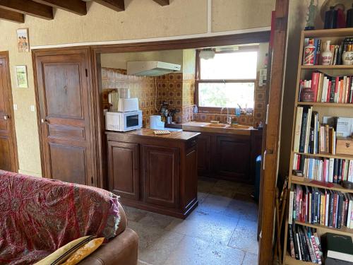 a kitchen with a sink and a counter with a microwave at Ancienne ferme Bourguignonne en bord de rivière, grand terrain arboré, et clos in Jailly-les-Moulins