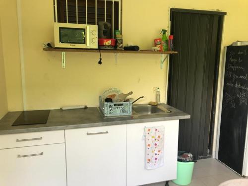 a kitchen with a sink and a microwave at Top Hill Hostel- Martinique- auberge dortoir in La Trinité