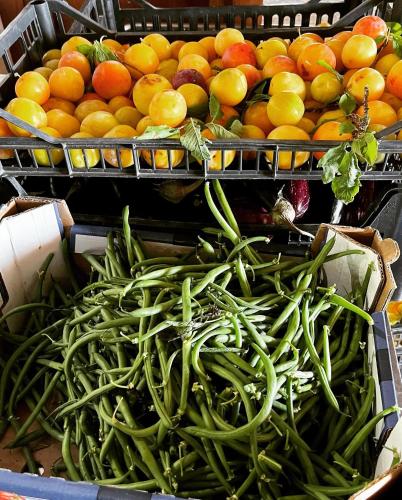 a pile of green beans and oranges in baskets at Fattoria Raffaelli in Colle Farnese