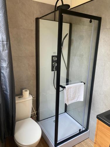 La salle de bains est pourvue d'une cabine de douche et de toilettes. dans l'établissement HOTEL DU CENTRE, à Roubaix