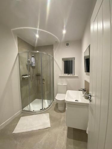 a bathroom with a shower and a toilet and a sink at Cosy Loft Apartment in Ballycastle
