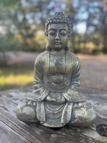 a statue of a buddha sitting on a table at AUX PORTES DE LA CAMARGUE STUDIO BALNEO PISCINE in Tarascon