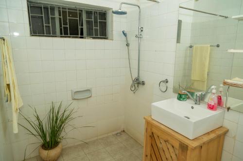 La salle de bains est pourvue d'un lavabo et d'une douche. dans l'établissement Blue elephant villas, à Arusha