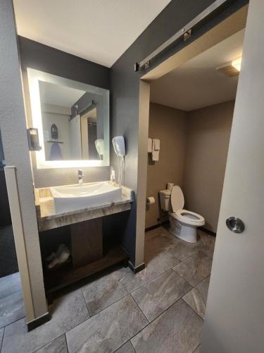 een badkamer met een wastafel en een toilet bij Put-in-Bay Resort & Conference Center in Put-in-Bay