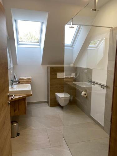 a bathroom with a toilet and a sink at Hofbauer-Hof in Rastenfeld