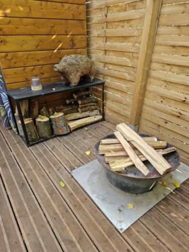 un chat est assis sur une table à côté d'une baignoire dans l'établissement La Bulle du Cheix, à Saint-Diéry