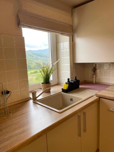 eine Küche mit einem Waschbecken und einem Fenster in der Unterkunft Сонячне Закарпаття in Poljana