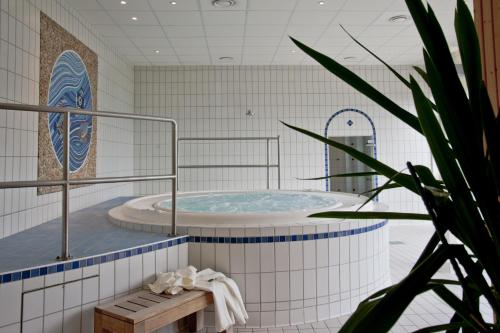 a hot tub in a room with a potted plant at Résidence La Marmottane in Aime