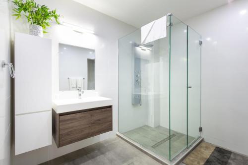 a bathroom with a sink and a glass shower at World Heritage Apartments in Willemstad