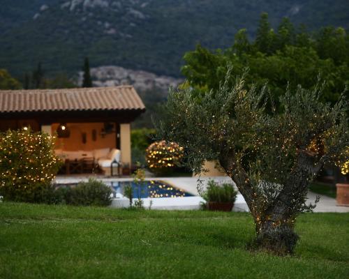 a house with a tree in front of a yard at Ferenity in Iraklitsa