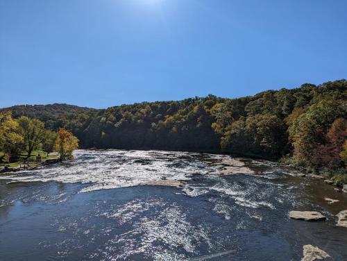 a river with rapids in the middle of a forest at Stay In Ohiopyle - closest place to the GAP trail in Ohiopyle, PA, Hot Tub in Ohiopyle
