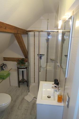 een badkamer met een douche, een wastafel en een toilet bij Wjažka in Guhrow