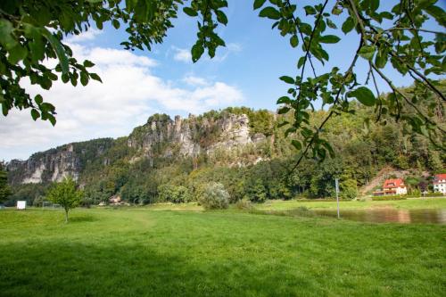 a grass field with a mountain in the background at Traumhaftes Gästehaus an Elberadweg und Bastei in Rathen