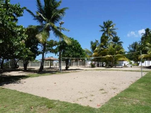 a volleyball court with palm trees and a net at Beautiful beachside apartment w/ terrace, balcony. in Arenas