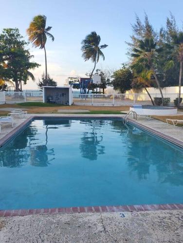 a large blue swimming pool with palm trees in the background at Beautiful beachside apartment w/ terrace, balcony. in Arenas