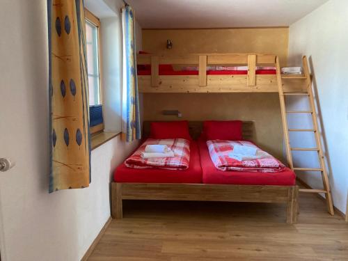 Mały pokój z 2 łóżkami piętrowymi i drabiną w obiekcie Gästehaus Katharina w mieście Hochfilzen