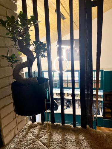 una stanza con una grande finestra con una pianta in vaso di Tiny Dream House a Buşteni